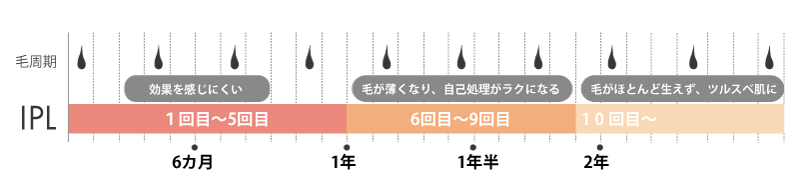 IPL-毛周期